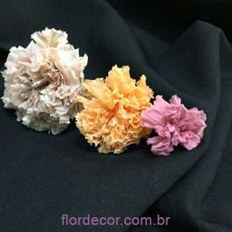 cravos naturais preservados