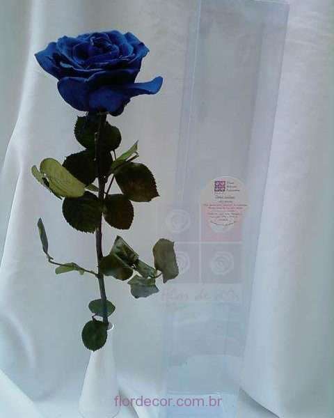 flor+de+cor+rosa-azul-noite-premium-natural-preservada-com-cabo+