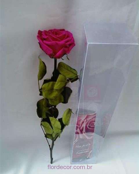 flor+de+cor+rosa+pink+premium+preservada+com+cabo+