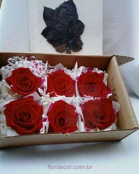 flor+de+cor+rosas+premium+vermelhas+e+folhas+preservadas++