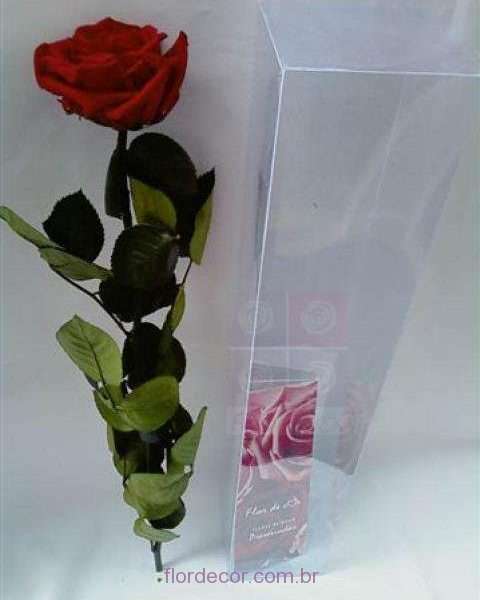 flor+de+cor+rosa+vermelha+premium+preservada+com+cabo+