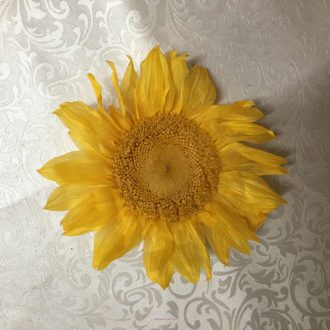 girassol natural preservado