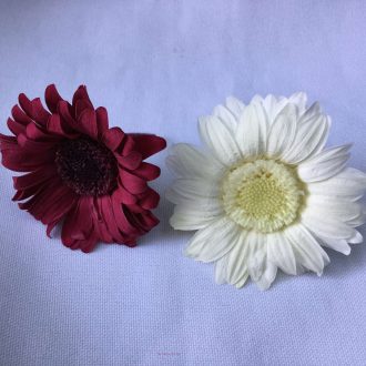 mini gérbera natural preservada