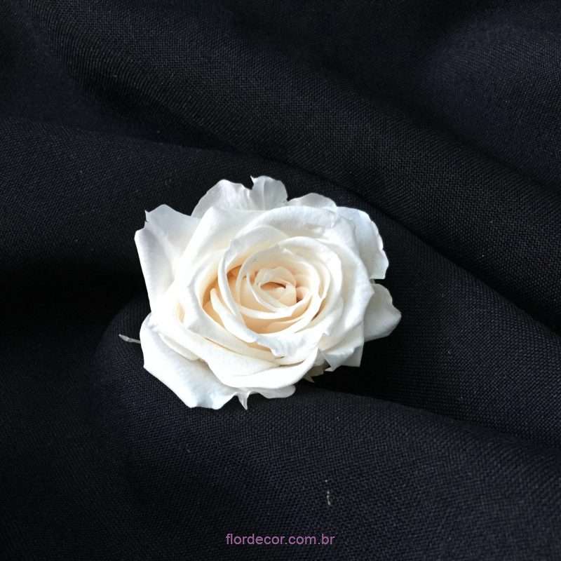 rosa encantada spray