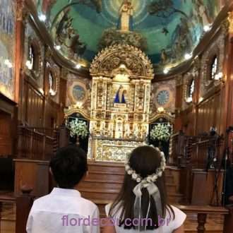 coroa rosinhas e mosquitinhos naturais preservados