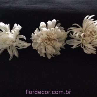 flores preservadas no cabelo