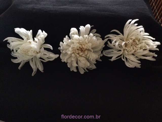 flores preservadas no cabelo