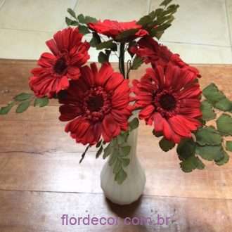 gérberas e avencas preservadas